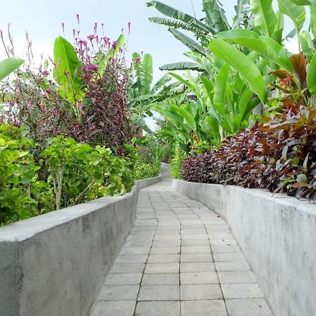 Rendira Villa 2 Ubud Extérieur photo